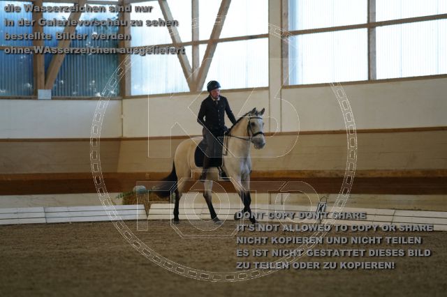 s_K3F02795.JPG